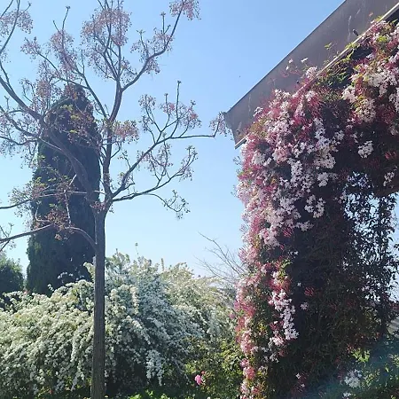 Casa Cardea Bed and breakfast Aprilia