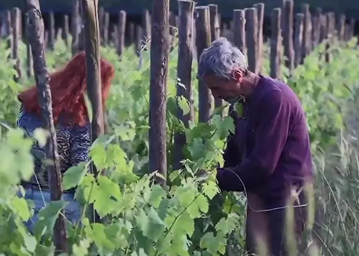 Casa Cardea Bed & Breakfast 3*