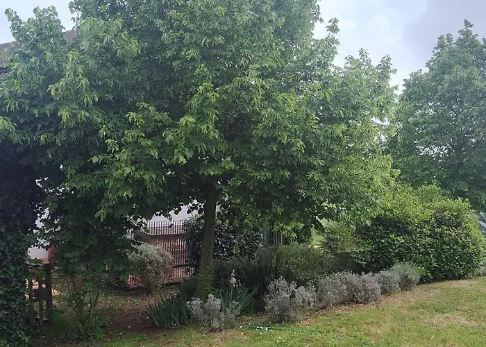 Casa Cardea Bed & Breakfast