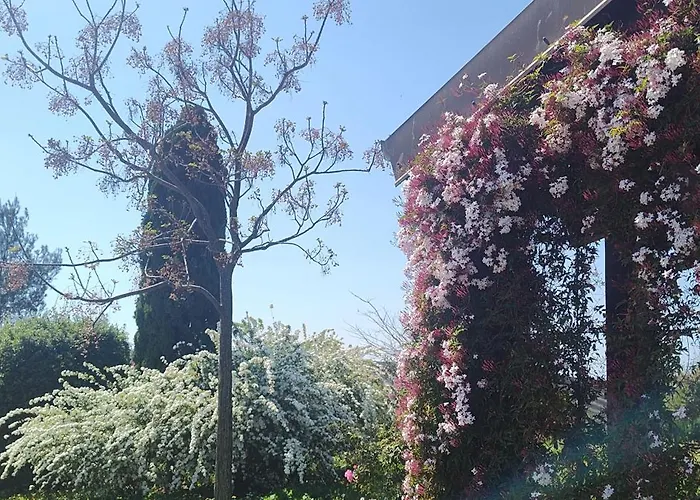 Casa Cardea Bed & Breakfast Aprilia