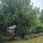 Casa Cardea Bed & Breakfast